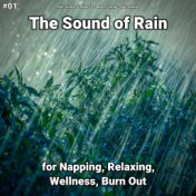#01 The Sound of Rain for Napping, Relaxing, Wellness, Burn Out
