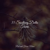 35 Soothing Delta Tones