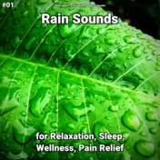 #01 Rain Sounds for Relaxation, Sleep, Wellness, Pain Relief