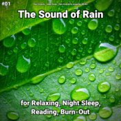 #01 The Sound of Rain for Relaxing, Night Sleep, Reading, Burn-Out