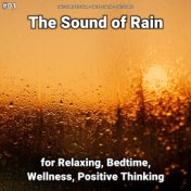 #01 The Sound of Rain for Relaxing, Bedtime, Wellness, Positive Thinking
