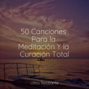 50 Canciones Para la Meditación Y la Curación Total