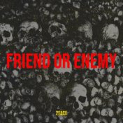 Friend or Enemy