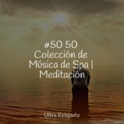 #50 50 Colección de Música de Spa | Meditación