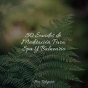 50 Sonidos de Meditación Para Spa Y Balneario