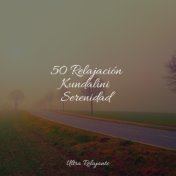 50 Relajación Kundalini Serenidad