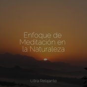 Enfoque de Meditación en la Naturaleza