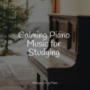 Calming Piano Music for Studying