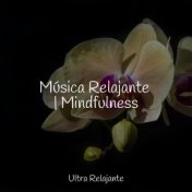 Música Relajante | Mindfulness