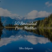 50 Serenidad Para Meditar