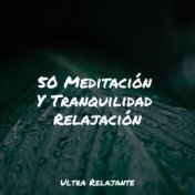 50 Meditación Y Tranquilidad Relajación