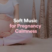Soft Music for Pregnancy Calmness