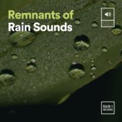 Remnants of Rain Sounds