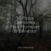 50 Pistas Calmantes Para Promover El Bienestar