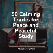 50 Calming Tracks for Peace and Peaceful Study
