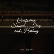 Comforting Sounds | Sleep and Healing