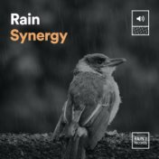 Rain Synergy
