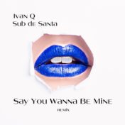 Say You Wanna Be Mine (Sub de Santa Remix)