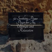 50 Soothing Piano Pieces for The Ultimate and Relaxation