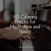 50 Calming Tracks for Meditation and Sleep
