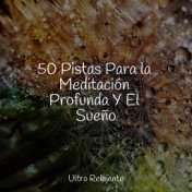 50 Pistas Para la Meditación Profunda Y El Sueño