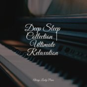 Deep Sleep Collection | Ultimate Relaxation