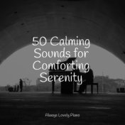 50 Calming Sounds for Comforting Serenity