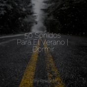 50 Sonidos Para El Verano | Dormir