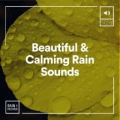 Beautiful & Calming Rain Sounds