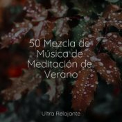 50 Mezcla de Música de Meditación de Verano