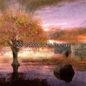 55 Catnap For Energy