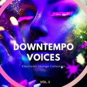 Downtempo Voices, Vol. 3 (Electronic Lounge Collection)