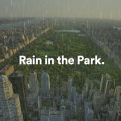 Rain in the Park