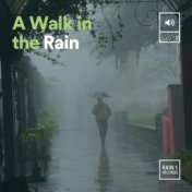 A Walk in the Rain