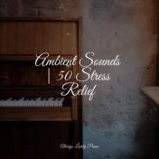 Ambient Sounds | 50 Stress Relief