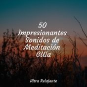 50 Sonidos Para Dormir Y Meditar