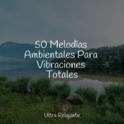 50 Melodías Ambientales Para Vibraciones Totales