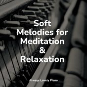 Soft Melodies for Meditation & Relaxation