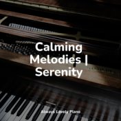 Calming Melodies | Serenity