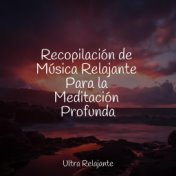 Recopilación de Música Relajante Para la Meditación Profunda