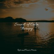 Sounds of Calm Therapy