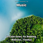 Music to Calm Down, for Bedtime, Wellness, Tinnitus