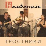 Тростники