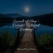 Sounds of Sleep | Nature | Rest and Serenity