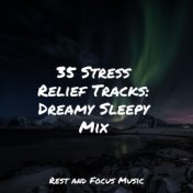 35 Stress Relief Tracks: Dreamy Sleepy Mix