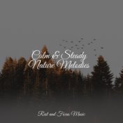 Calm & Steady Nature Melodies