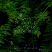 Powerful Melodies | Deep Sleep and Serenity