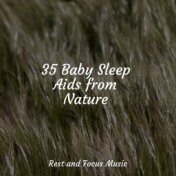 35 Baby Sleep Aids from Nature