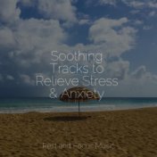 Soothing Tracks to Relieve Stress & Anxiety