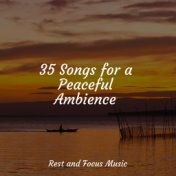 35 Songs for a Peaceful Ambience